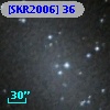 [SKR2006] 36