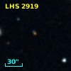 LHS  2919