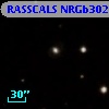 RASSCALS NRGb302.051