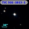 TYC  916-1013-1