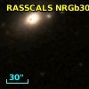 RASSCALS NRGb302