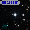 HD 237116