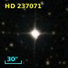 HD 237071