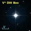 V* DW Boo