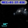 MCG+01-37-036