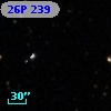 26P 239