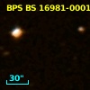 BPS BS 16981-0001