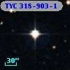 TYC  318-903-1