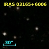IRAS 03165+6006