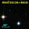 IRAS 03136+6010