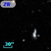 ZW VIII 421