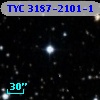 TYC 3187-2101-1
