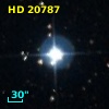 HD  20787