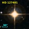 HD 127481