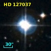 HD 127037