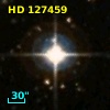 HD 127459