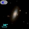 IC 4453