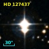 HD 127437