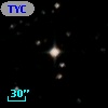TYC 7295-1516-1