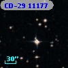CD-29 11177
