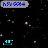 NSV  6684