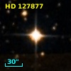 HD 127877