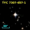 TYC 7307-607-1