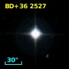 BD+36  2527
