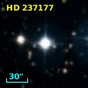 HD 237177