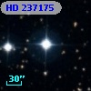 HD 237175