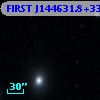 FIRST J144631.8+332527