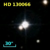 HD 130066