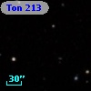 Ton  213