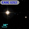 CASG 1252