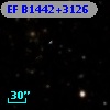 EF B1442+3126