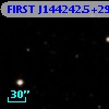 FIRST J144242.5+293146