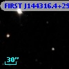 FIRST J144316.4+295636