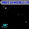 FIRST J144336.2+293903