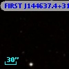 FIRST J144637.4+311753