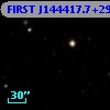 FIRST J144417.7+293059