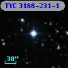 TYC 3188-231-1