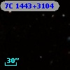 7C 1443+3104