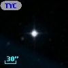TYC 1484-1022-1