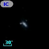 IC 1036