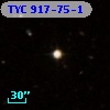 TYC  917-75-1