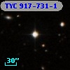 TYC  917-731-1