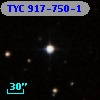 TYC  917-750-1