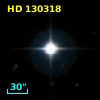 HD 130318