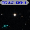 TYC  917-1260-1