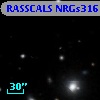 RASSCALS NRGs316